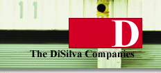 The DiSilva Companies