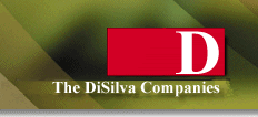 The DiSilva Companies